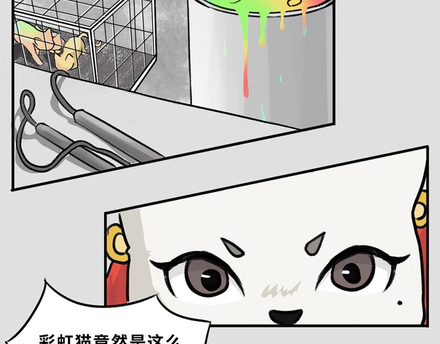 《福虎少年》第五章 神喵少女 第21页