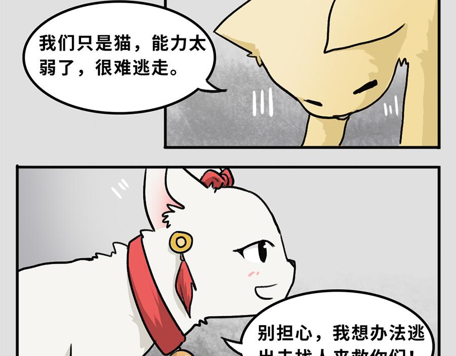 《福虎少年》第五章 神喵少女 第26页