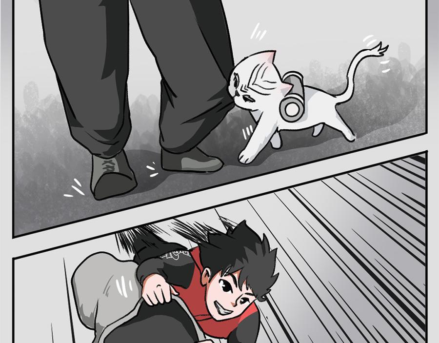 《福虎少年》第五章 神喵少女 第43页