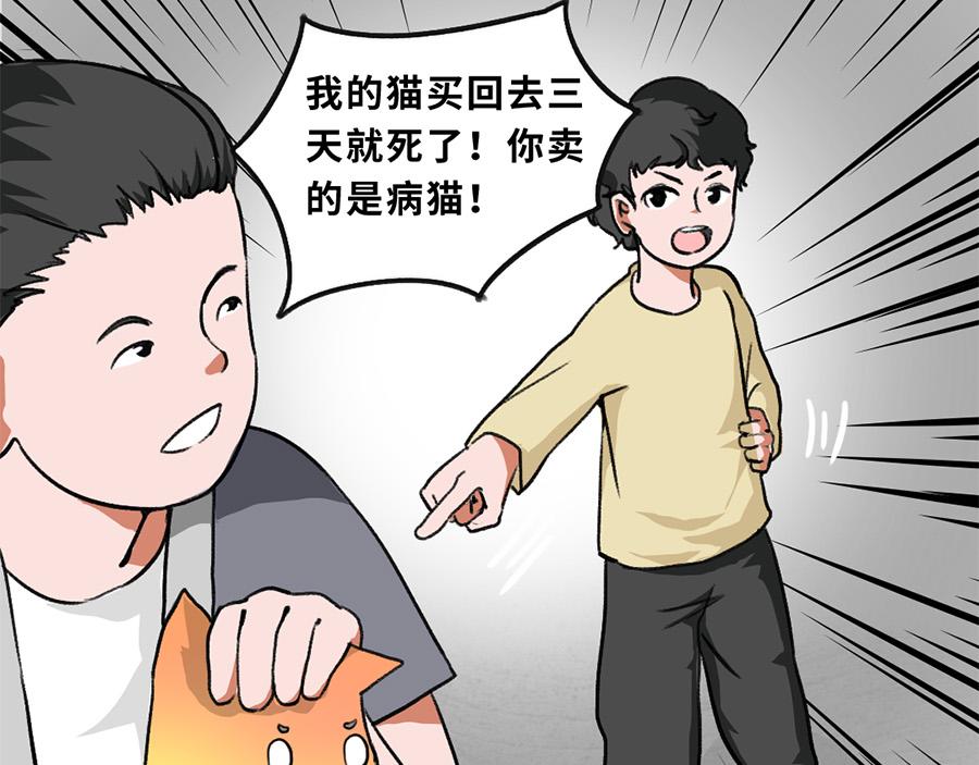 《福虎少年》第五章 神喵少女 第9页