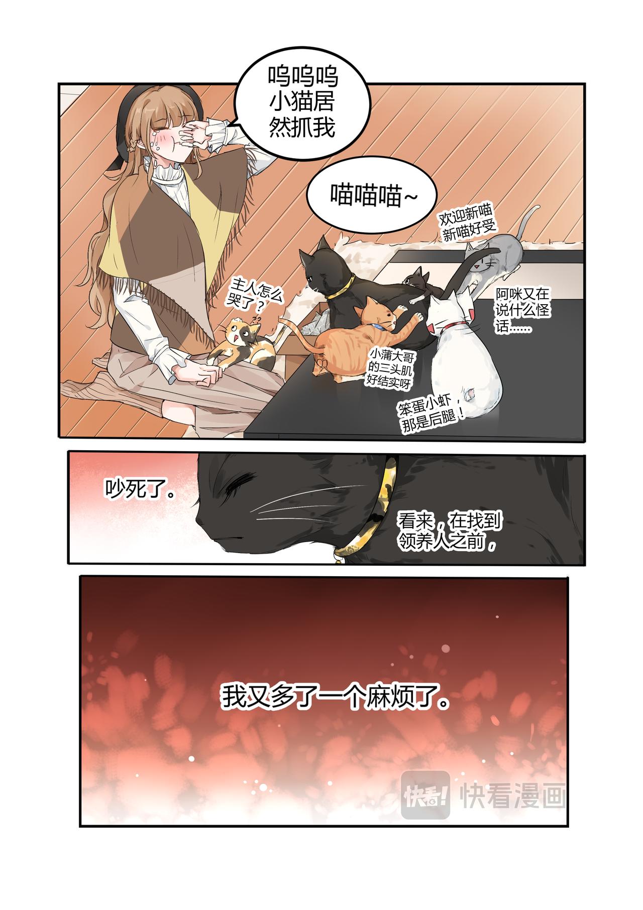 《我的笨蛋主人》我的笨蛋主人 第10页