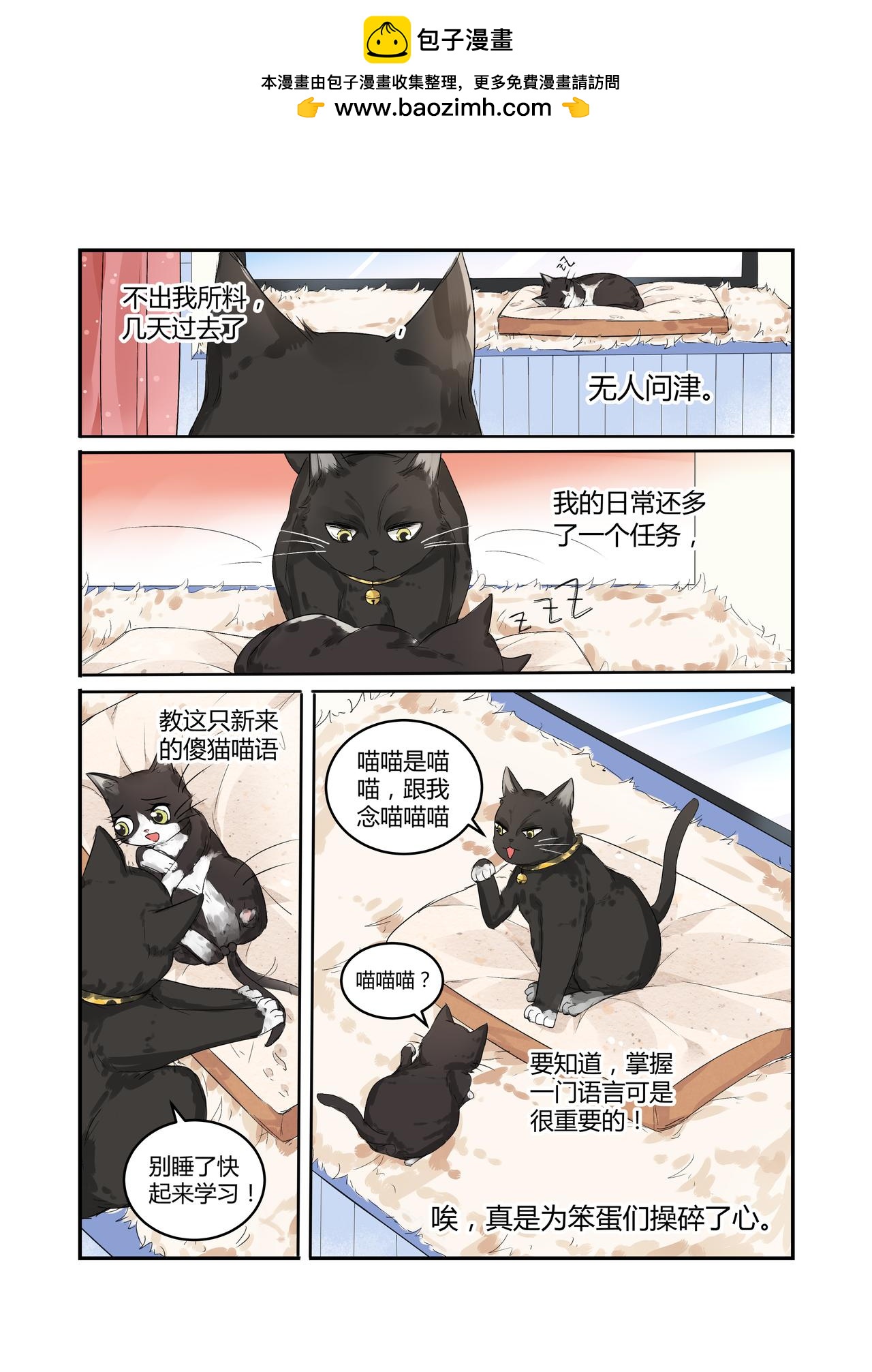 《我的笨蛋主人》我的笨蛋主人 第11页