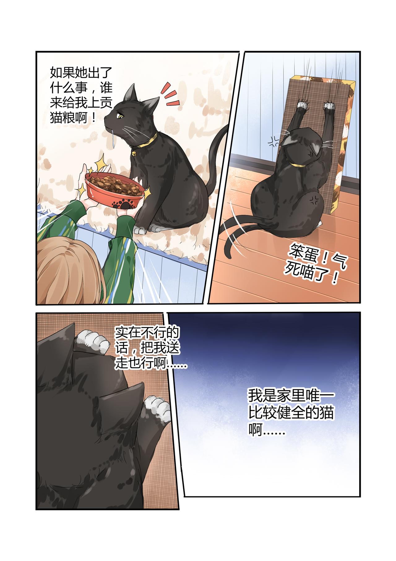 《我的笨蛋主人》我的笨蛋主人 第13页