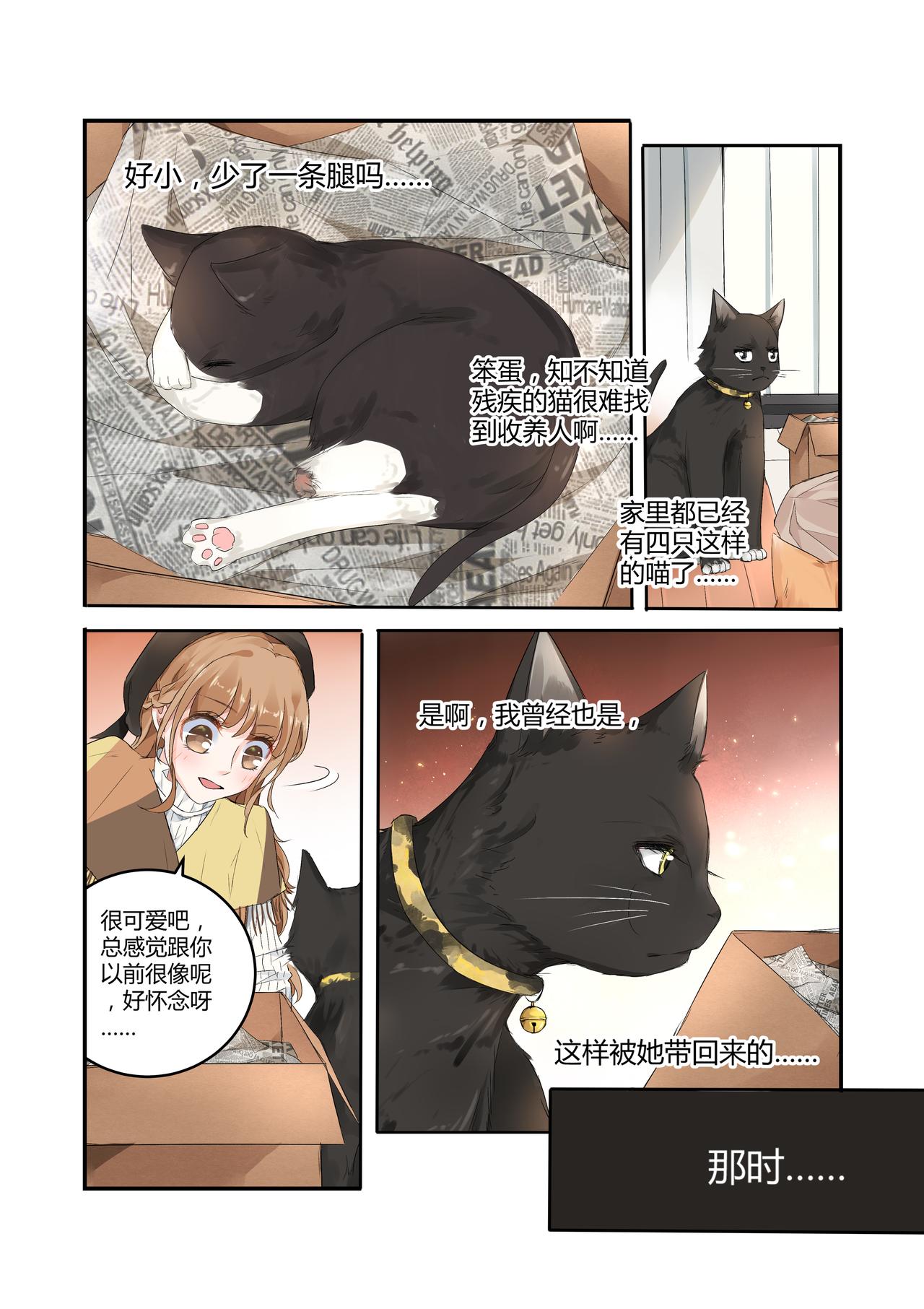 《我的笨蛋主人》我的笨蛋主人 第5页