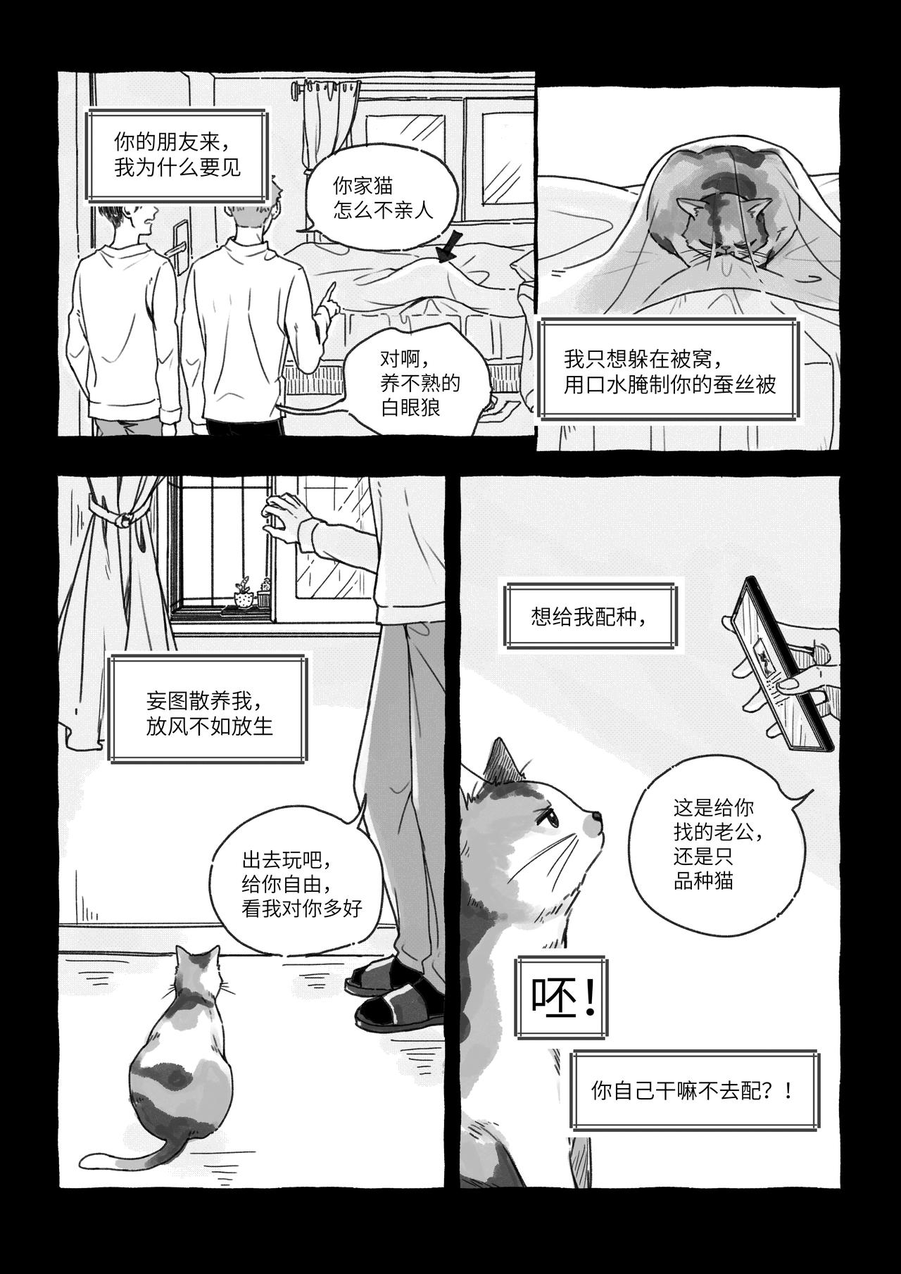 《我的笨蛋主人》猫咪出走 第3页