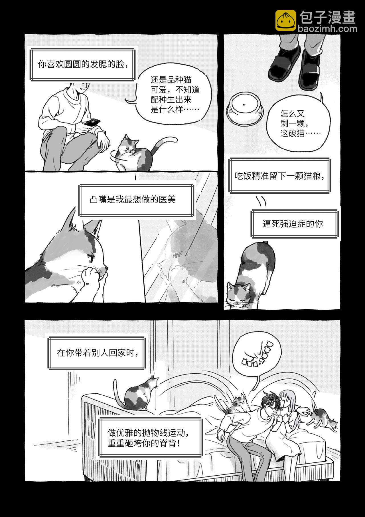 《我的笨蛋主人》猫咪出走 第4页