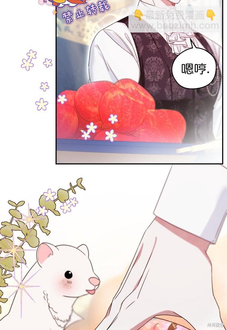 《比起成为公主，侍女才是我的天职》第4话 第48页
