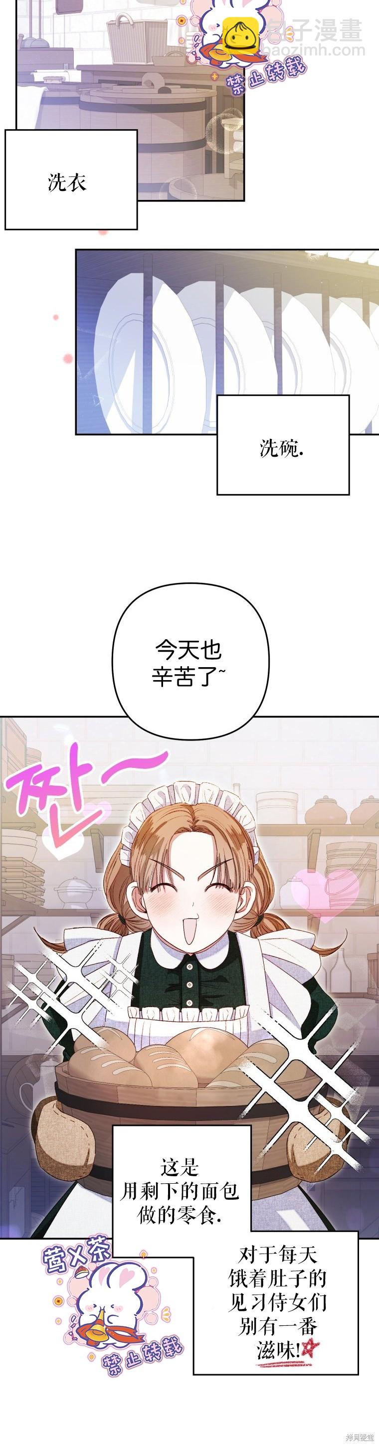 《比起成为公主，侍女才是我的天职》第3话 第30页