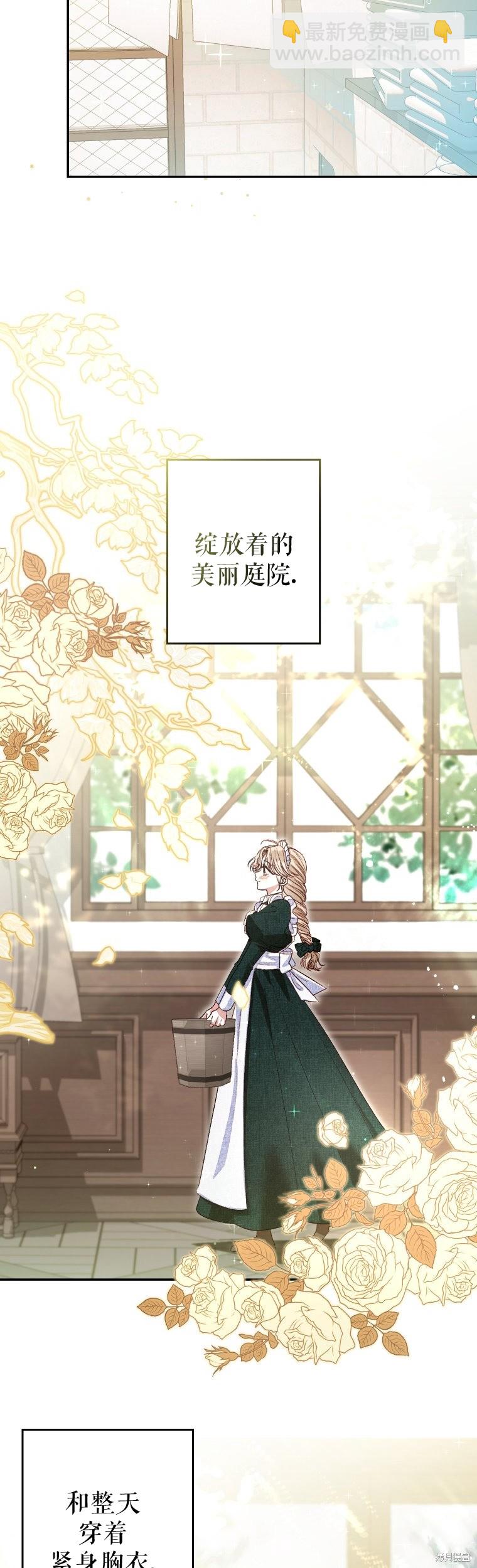 《比起成为公主，侍女才是我的天职》第2话 第13页