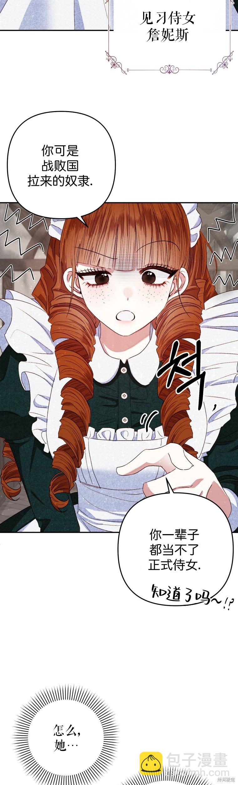 《比起成为公主，侍女才是我的天职》第2话 第17页