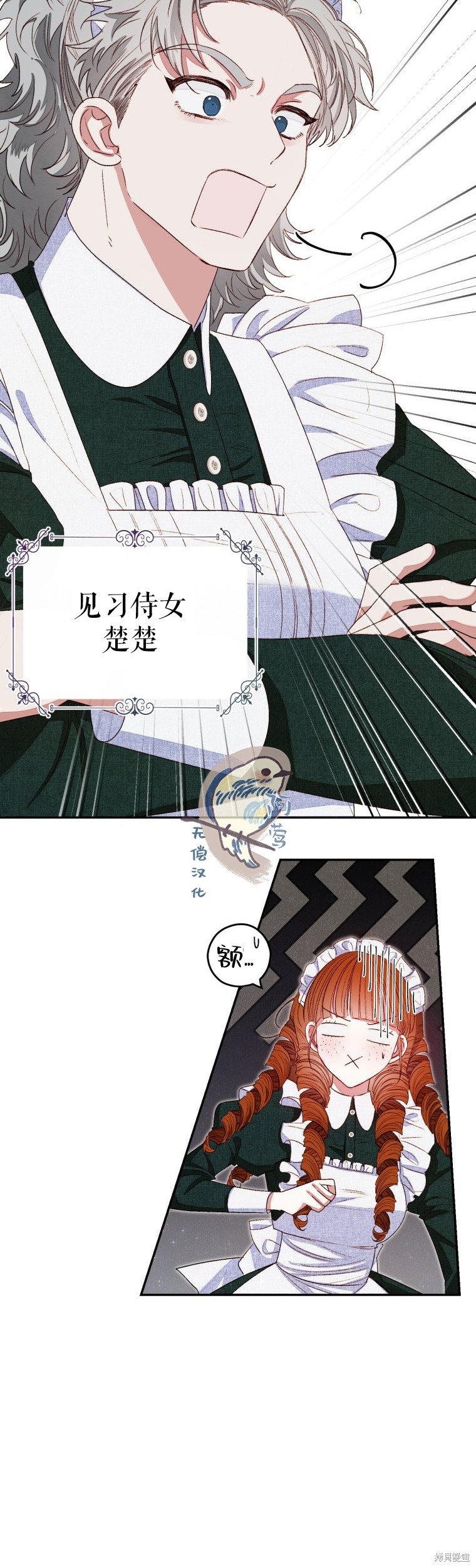 《比起成为公主，侍女才是我的天职》第2话 第20页