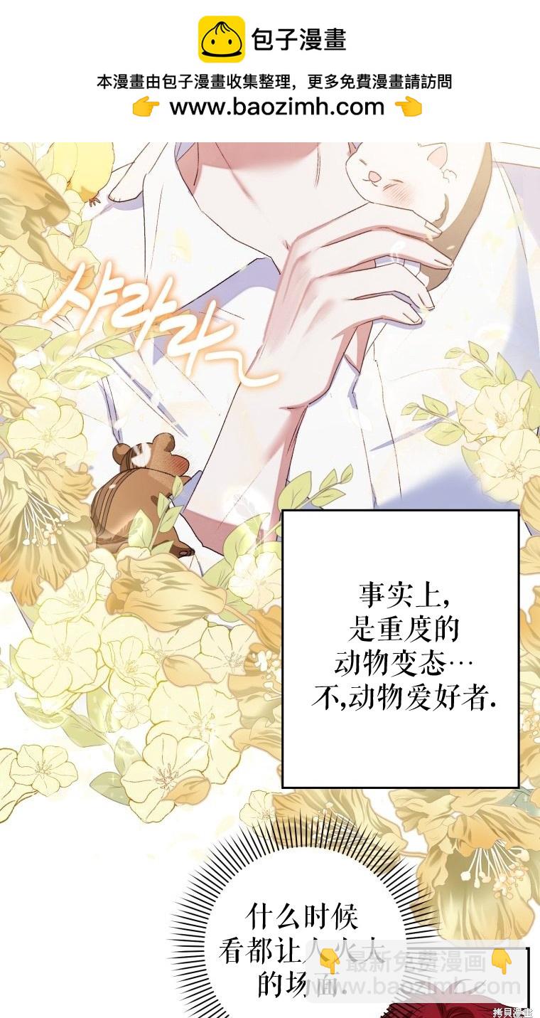 《比起成为公主，侍女才是我的天职》第2话 第42页