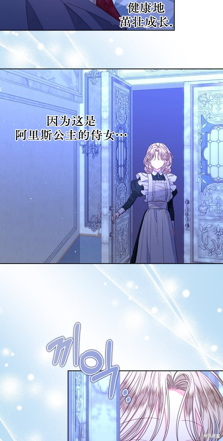 《比起成为公主，侍女才是我的天职》第13话 第13页