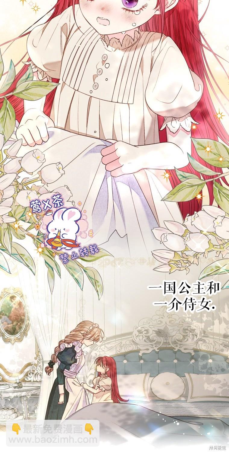 《比起成为公主，侍女才是我的天职》第14话 第30页