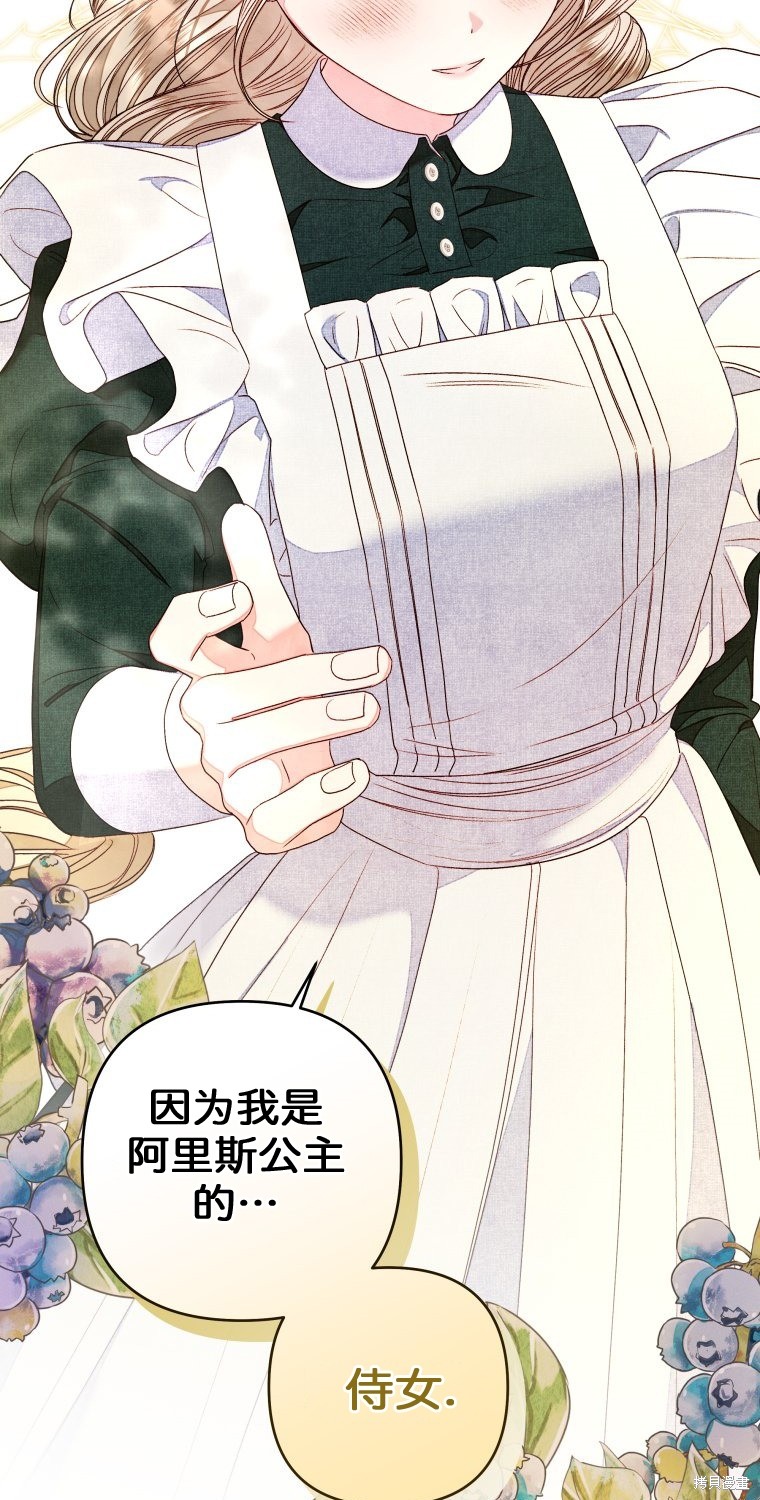 《比起成为公主，侍女才是我的天职》第14话 第33页