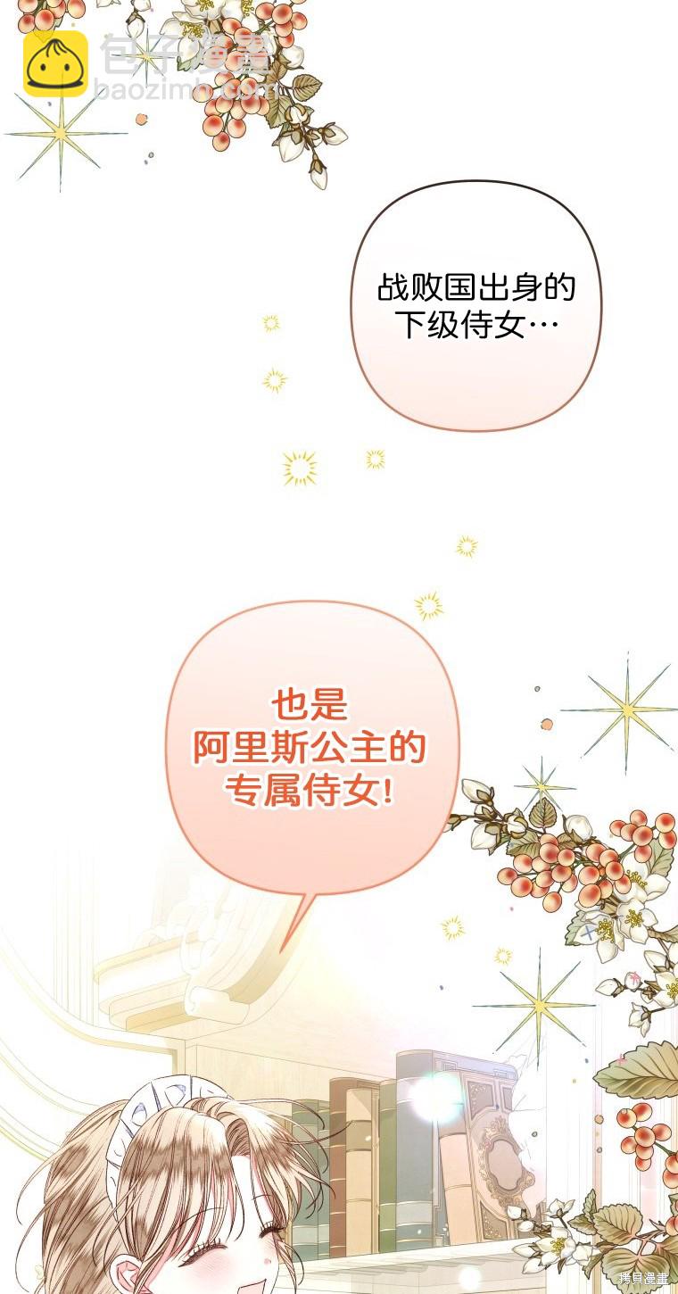《比起成为公主，侍女才是我的天职》第17话 第10页