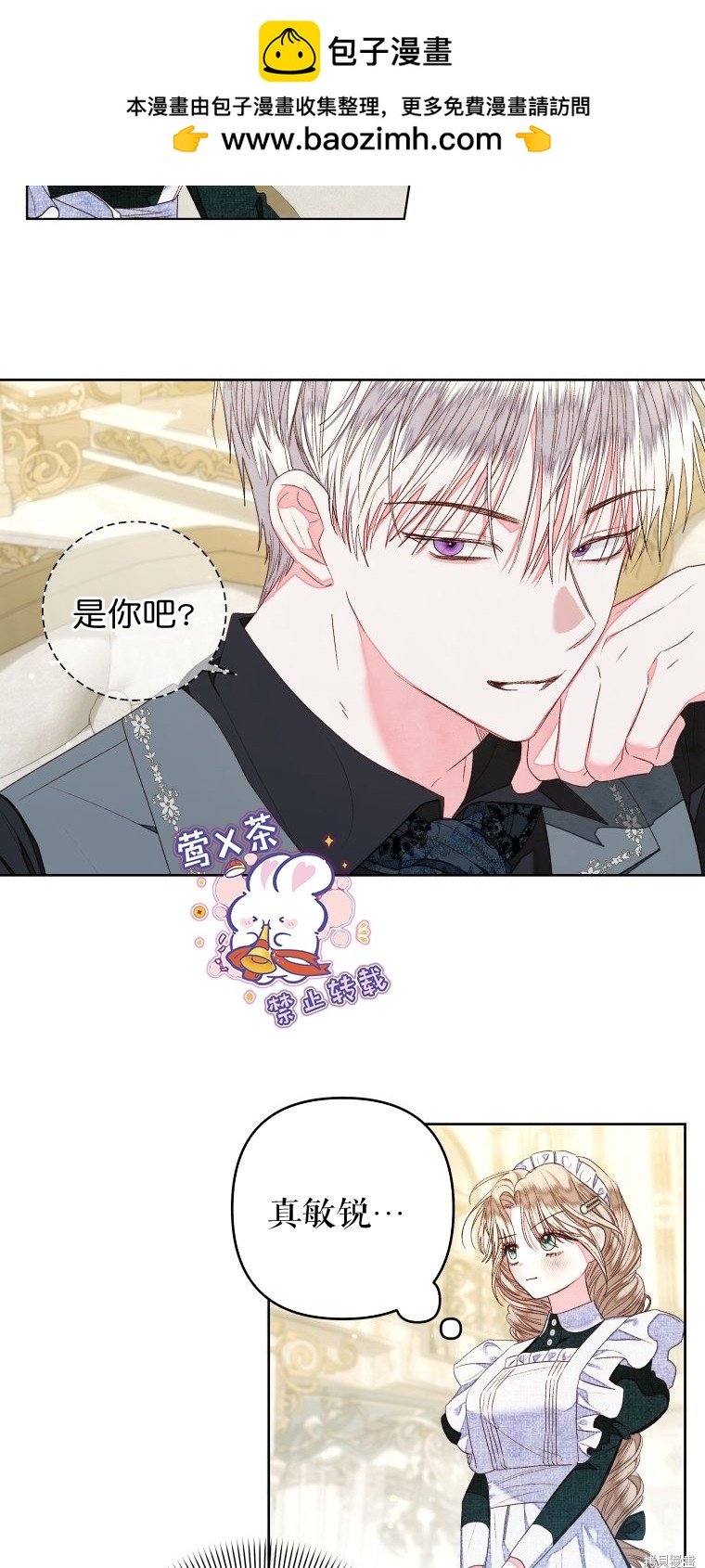 《比起成为公主，侍女才是我的天职》第17话 第28页