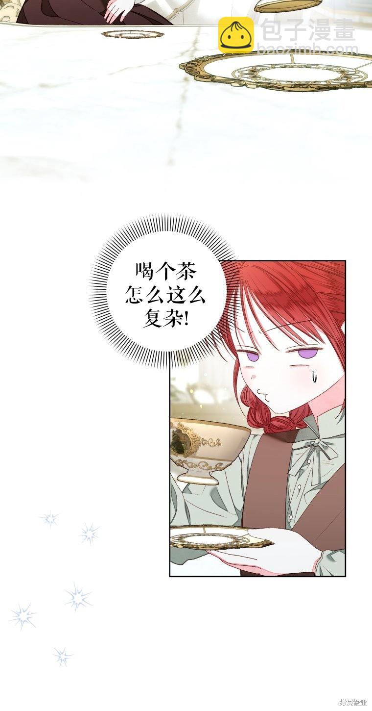 《比起成为公主，侍女才是我的天职》第17话 第17页
