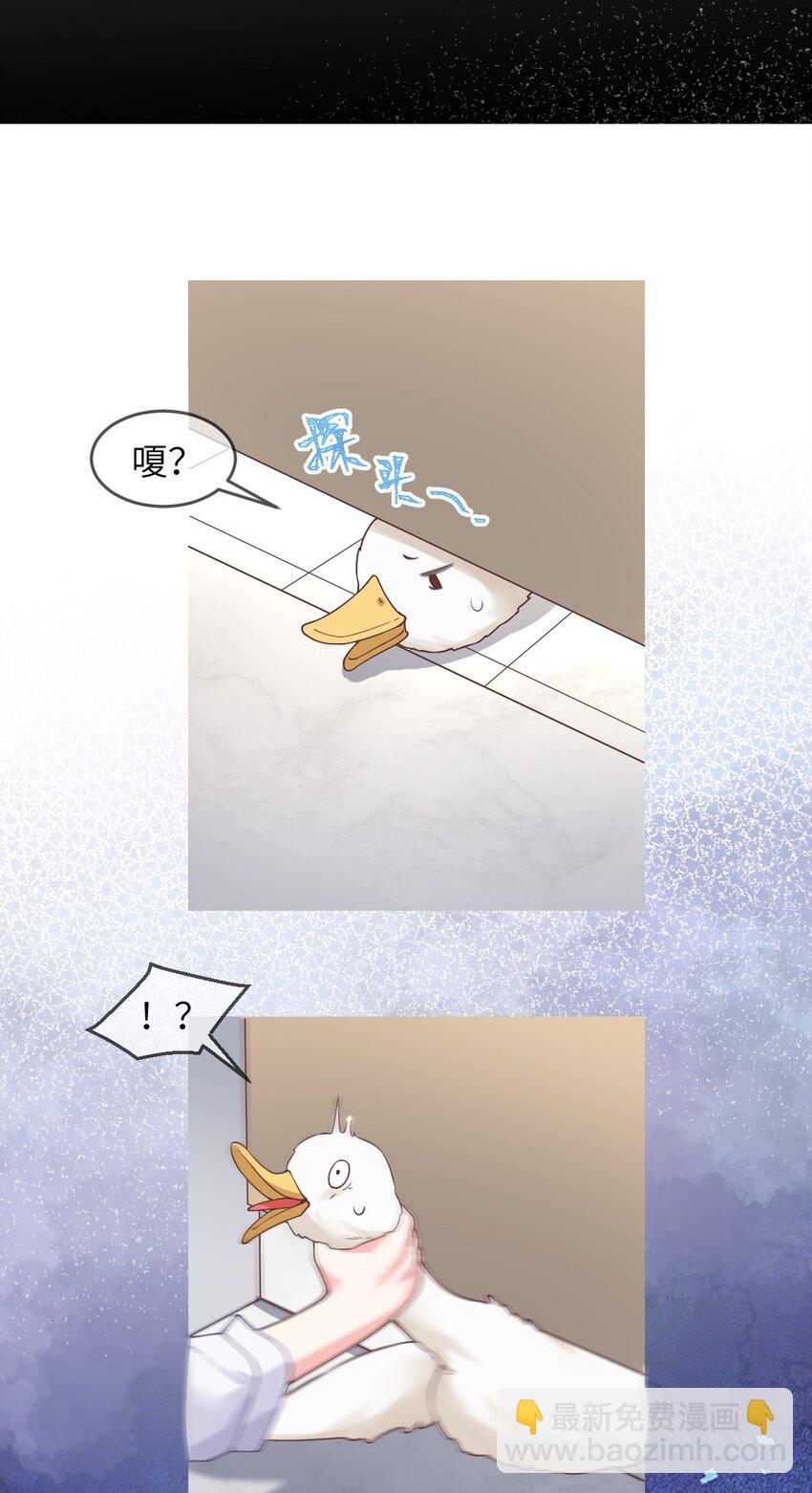 《合法恋爱进行中》002 我可以喜欢你吗？ 第23页