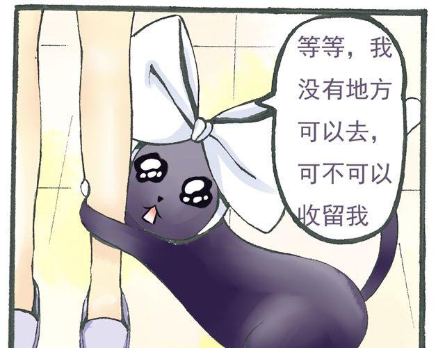 《千年轮回》第4话 可不可以收留窝！ 第13页