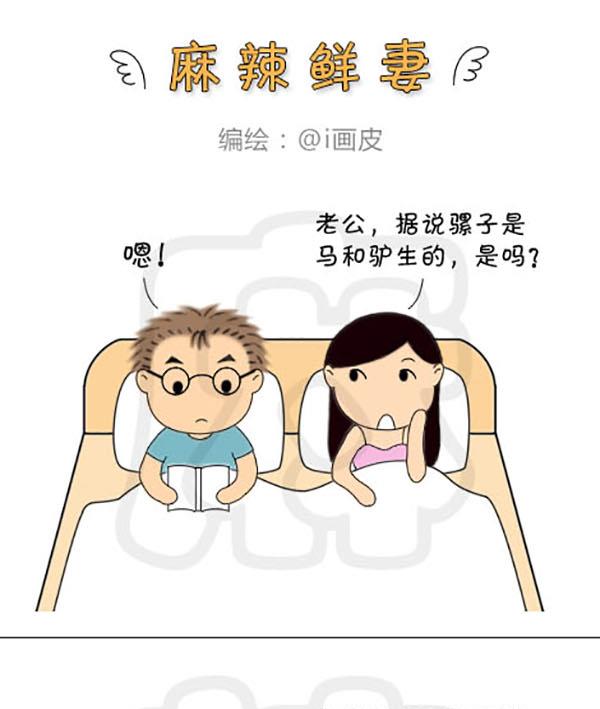 《麻辣鲜妻一爆笑爱情日常》麻辣鲜妻一爆笑爱情日常 第8集 第10页