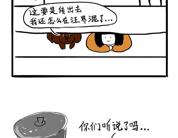 《虎妞儿的日常》狗子地位不保 第11页