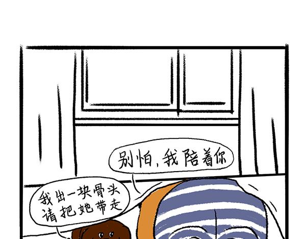 《虎妞儿的日常》狗子地位不保 第9页