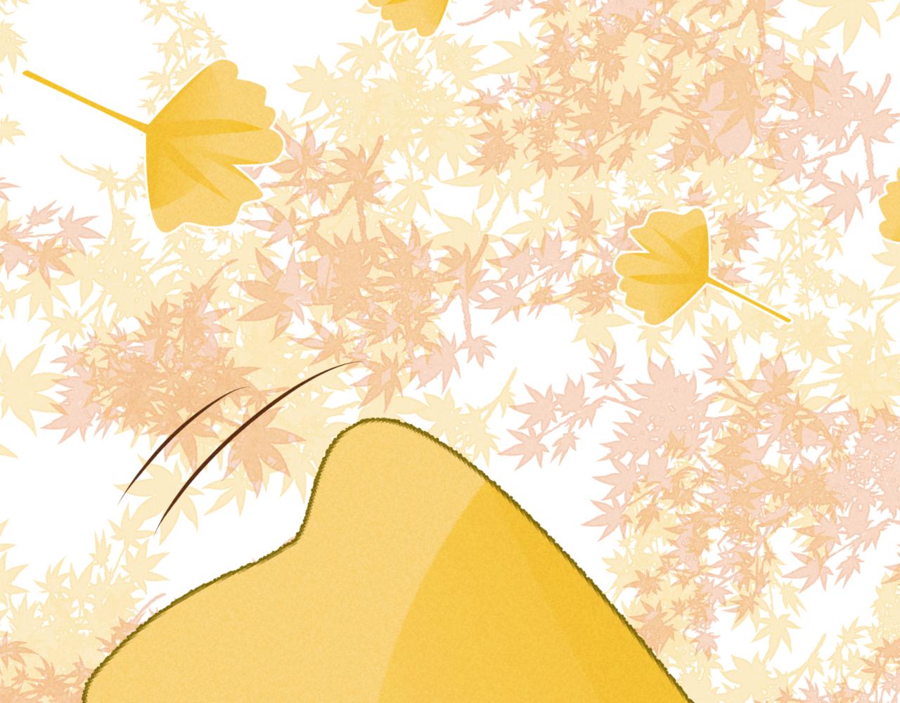 《韩小草的漫画日常》秋 第10页