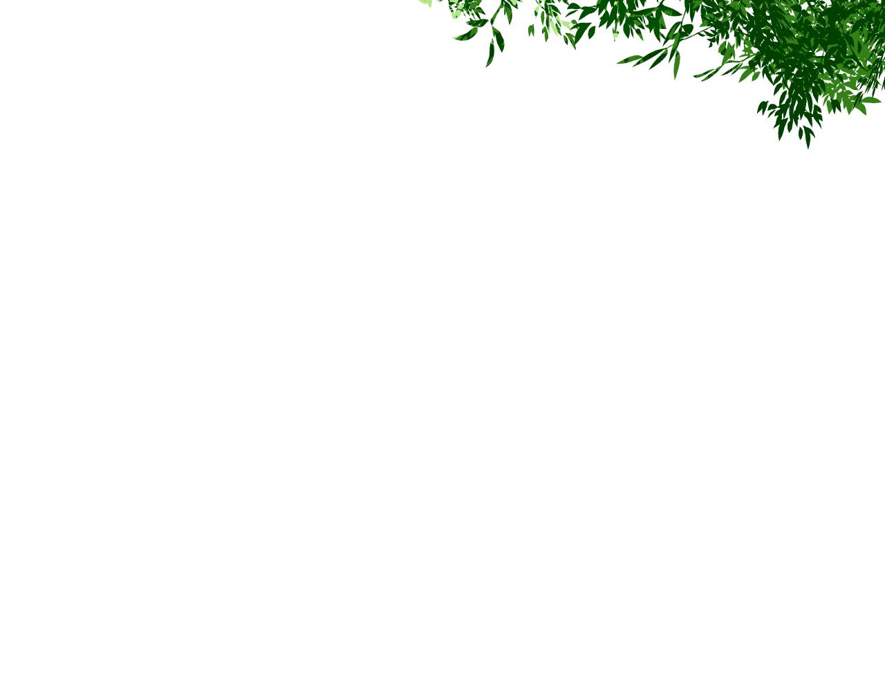 《夏夜风起》序 第14页