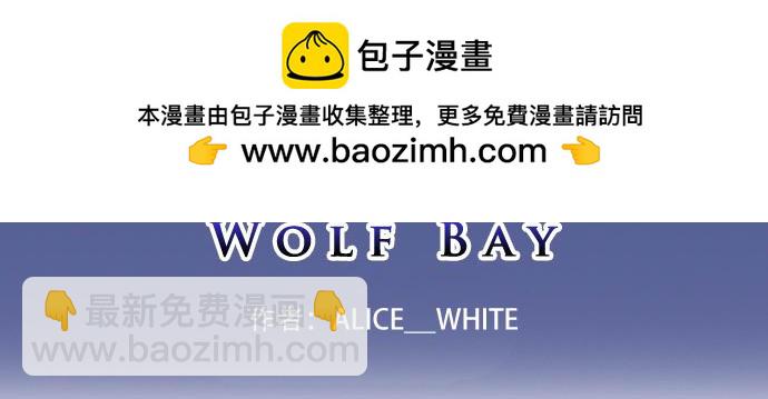 《月夜狼嚎湾》第四话 第2页
