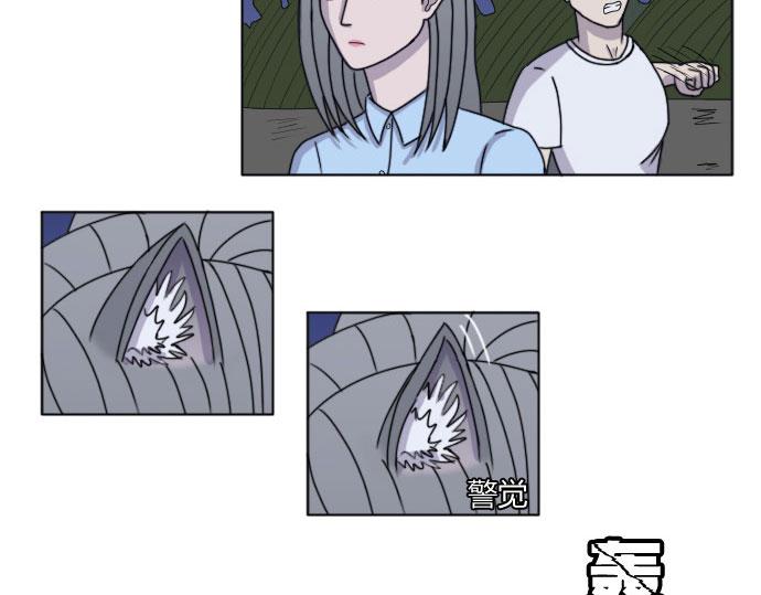 《月夜狼嚎湾》第七话 第31页