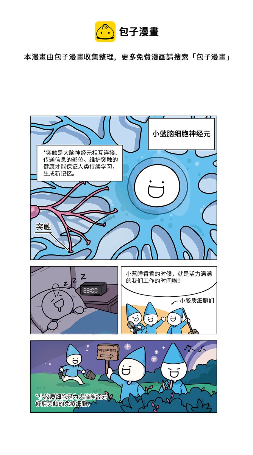 《小蓝的冷知识热科普》1001 熬夜 第5页