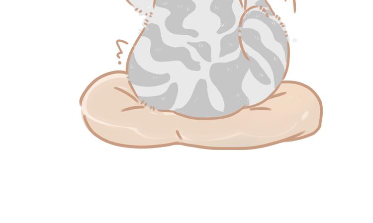 《pp漫话》狡猾的狐狸 第13页