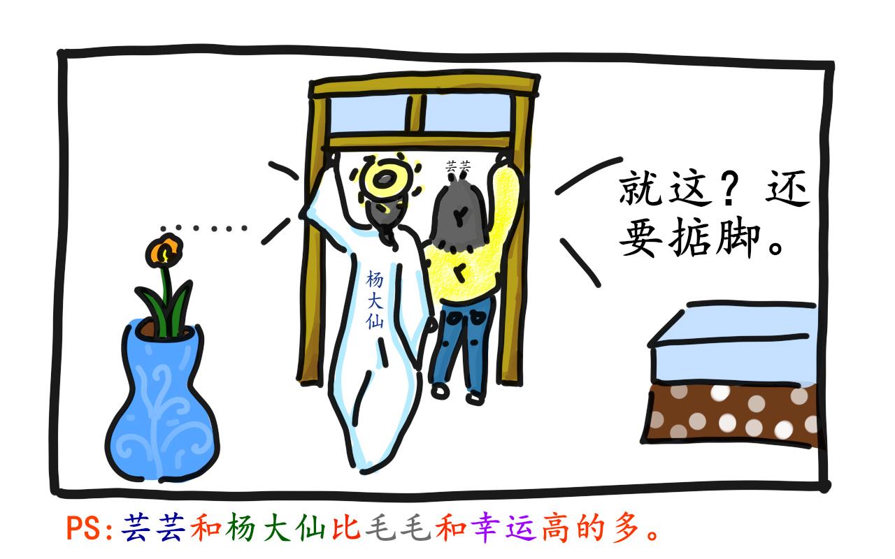 《谭芸芸的日记》论“芸芸”的那些霸气时刻 第6页