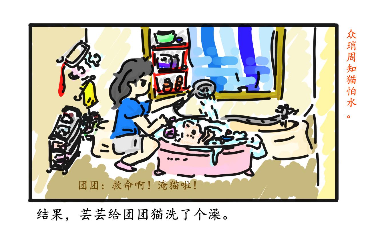《谭芸芸的日记》猫毛事件 第15页