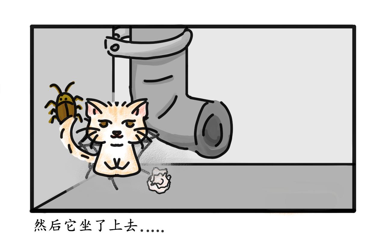 《谭芸芸的日记》猫毛事件 第3页