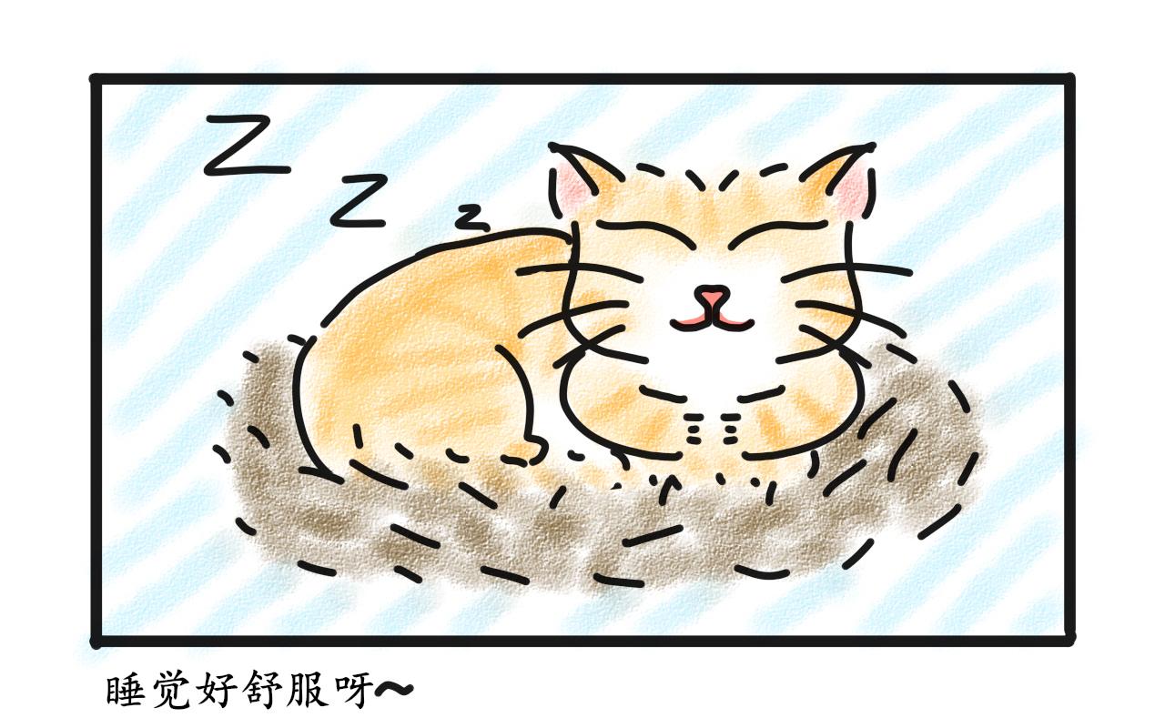 《谭芸芸的日记》叫你别坑喵！遭报应了吧！ 第4页