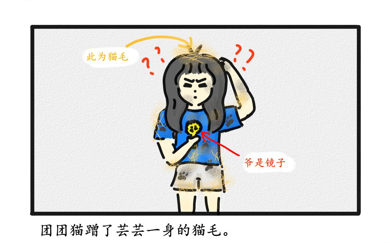 《谭芸芸的日记》猫毛事件 第10页
