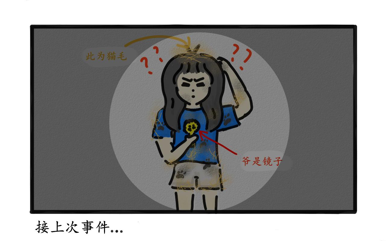 《谭芸芸的日记》猫毛事件 第13页