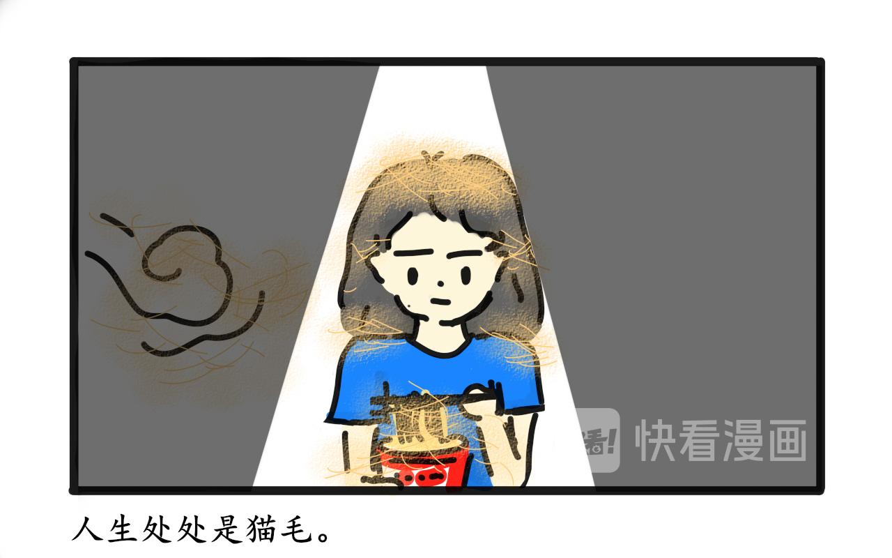 《谭芸芸的日记》猫毛事件 第19页