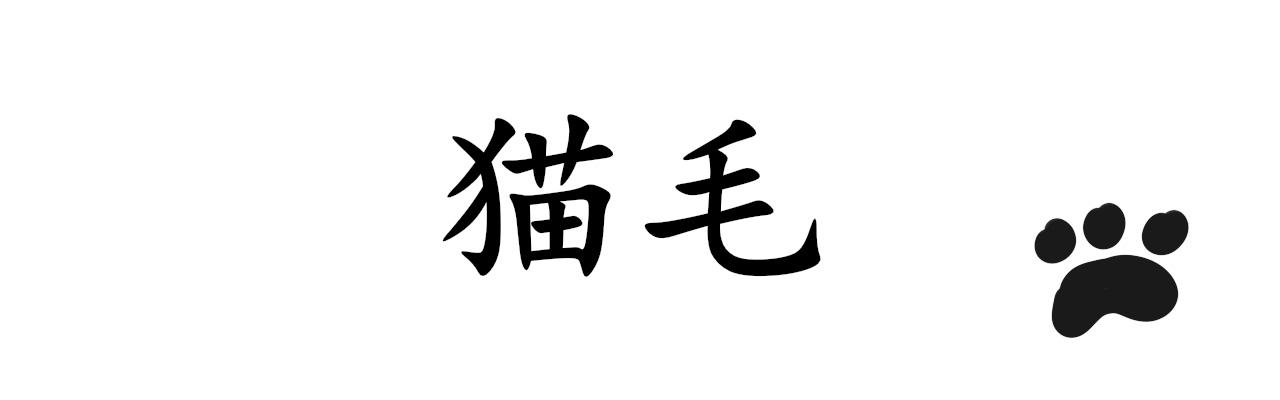 《谭芸芸的日记》猫毛事件 第1页