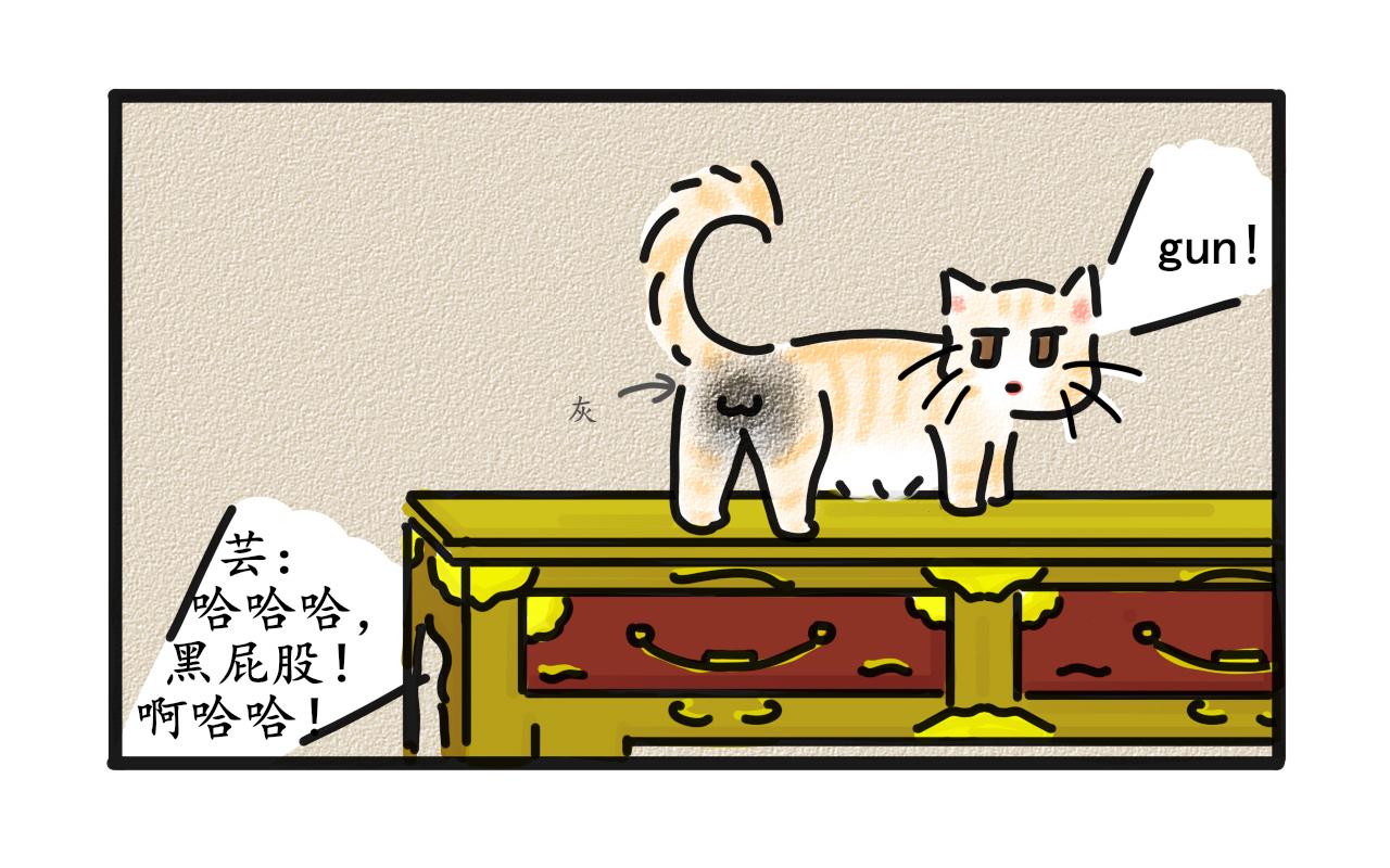 《谭芸芸的日记》猫毛事件 第6页