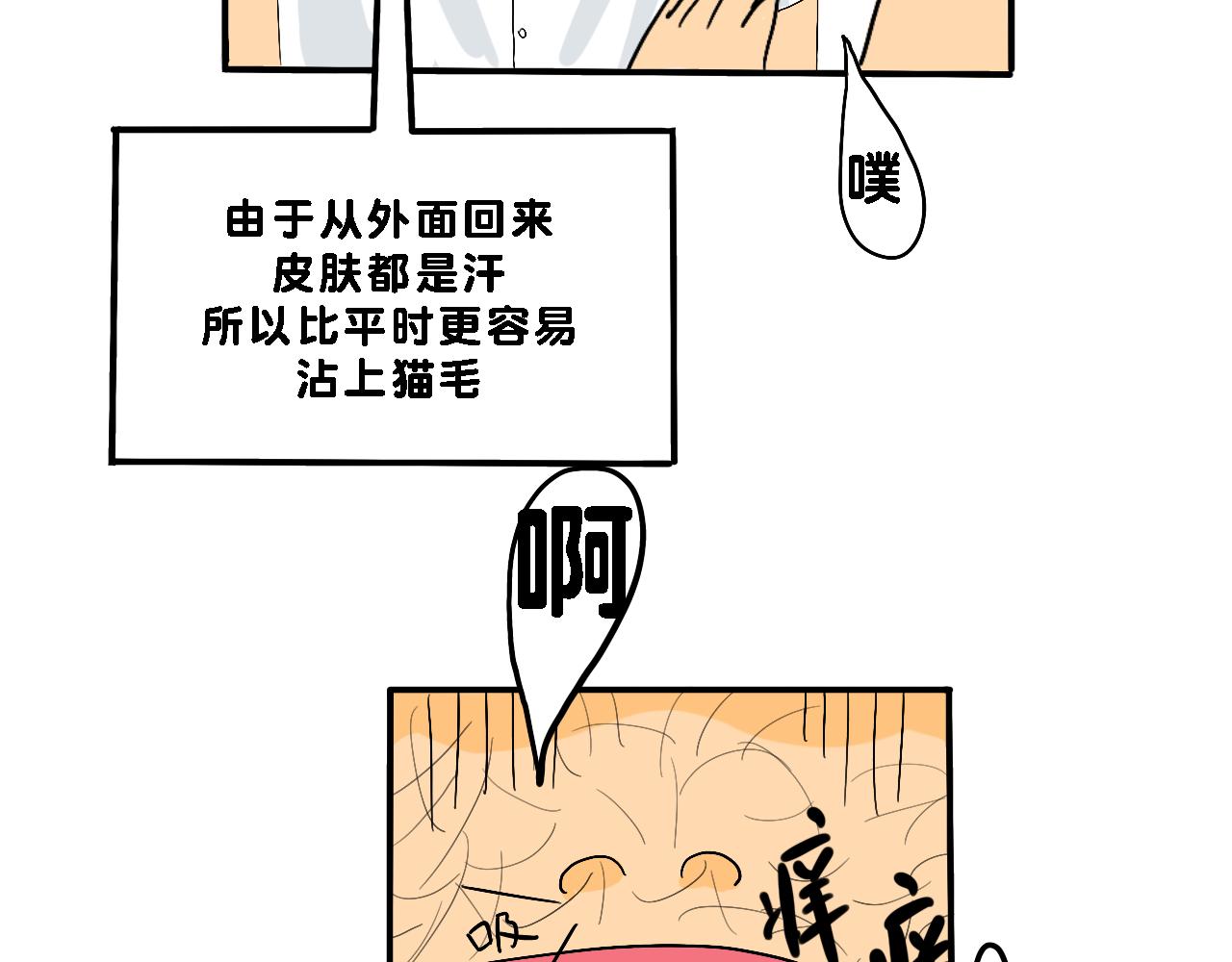 《小猫咪什么的最讨厌了》第二话 夏日（上） 第41页