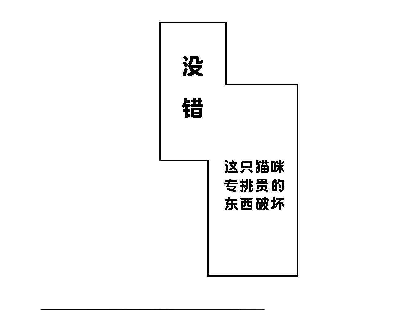 《小猫咪什么的最讨厌了》第五话-超能猫 第10页