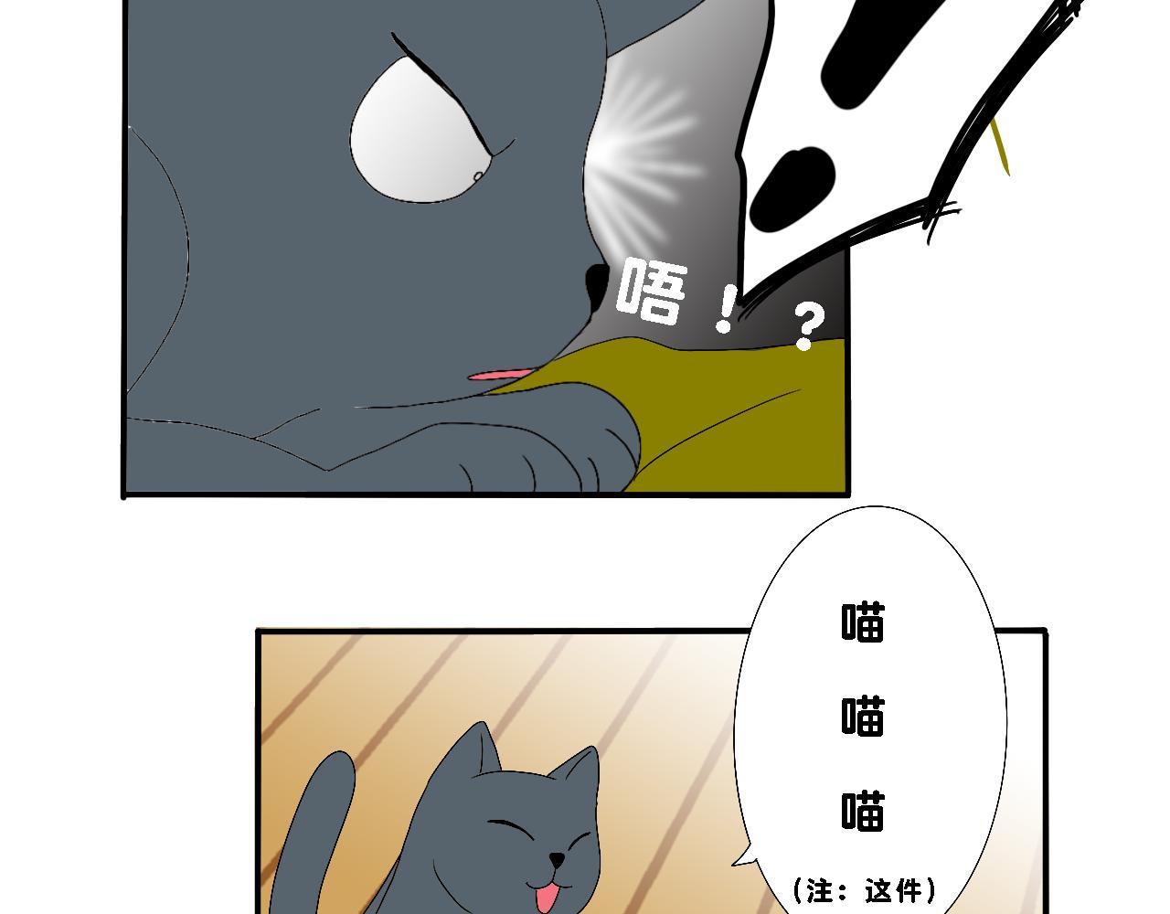 《小猫咪什么的最讨厌了》第五话-超能猫 第17页