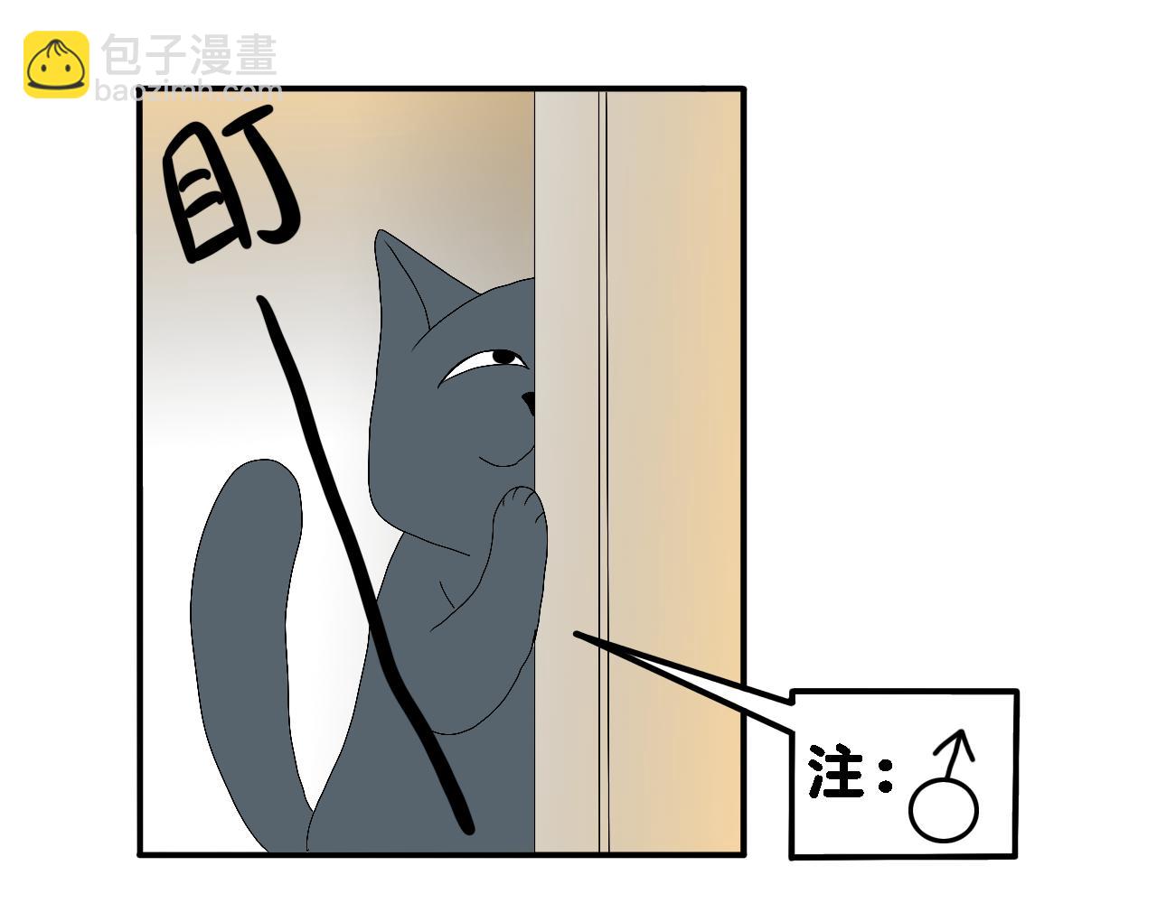 《小猫咪什么的最讨厌了》第六话-难懂的猫 第13页