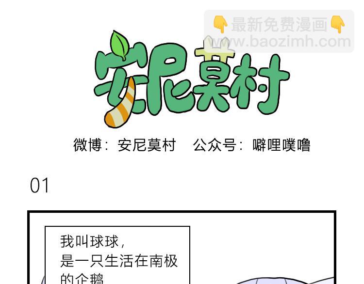 《安尼莫村》南极企鹅球球 第3页