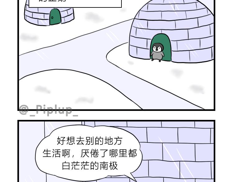 《安尼莫村》南极企鹅球球 第4页