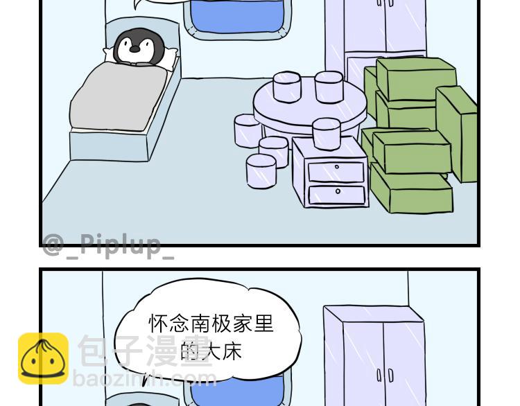 《安尼莫村》商量 第17页