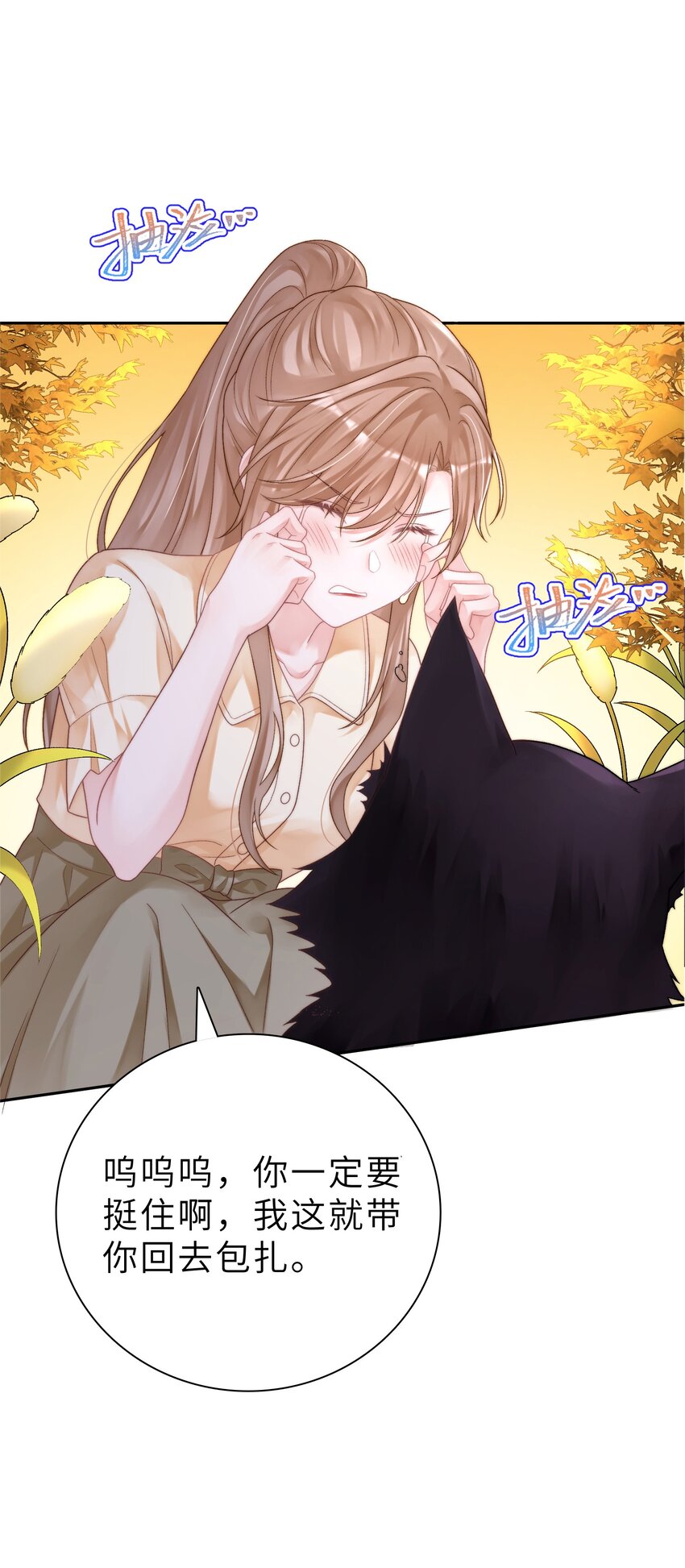 《霸总他脑子有坑》01 黑狗or黑狐？ 第15页